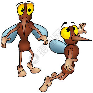 蚊虫飞行长腿翅膀手绘绘画昆虫甲虫棕色翻白眼库蚊图片
