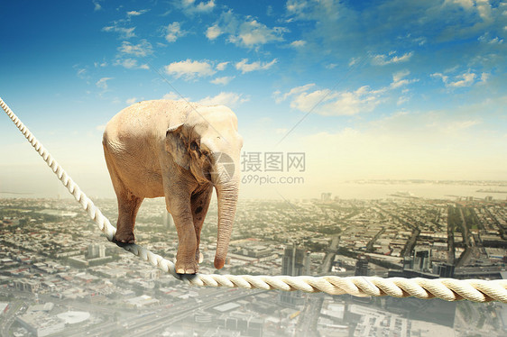 大象靠绳子行走诡计力量马戏团平衡犬类动物绳索电缆风险压力图片