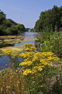 伦敦圣詹姆斯公园荒野花朵景点公园野生动物喷泉旅游历史观光历史性图片