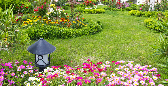 灯笼背景鲜花床植物学生长季节植物院子风景紫丁香花园玫瑰灯笼背景