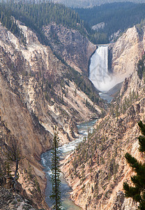 黄石瀑布和大峡谷图片