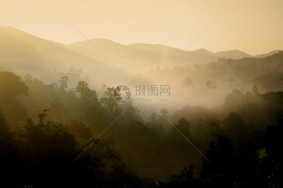 清晨有雾的山坡图片