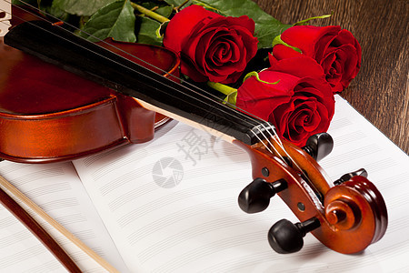 红玫瑰和小提琴乐器音乐玫瑰周年花束细绳音乐会浪漫乐队中提琴图片