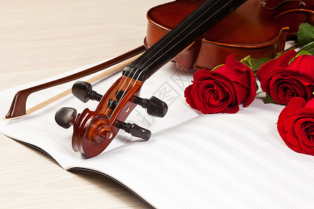 红玫瑰和小提琴细绳周年音乐乐器艺术乐队文化古董纪念日木头图片
