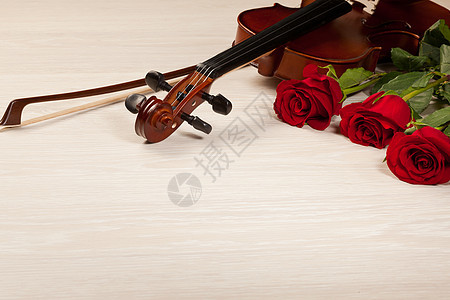 红玫瑰和小提琴浪漫床单中提琴细绳纪念日音乐作品古董音乐会艺术图片