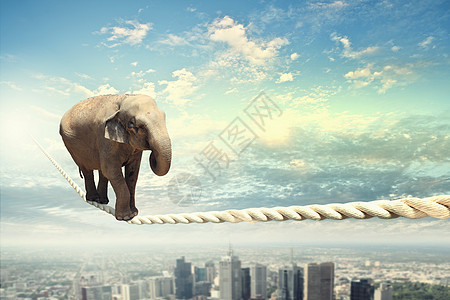 大象靠绳子行走危险犬类力量失败电缆风险动物绳索压力平衡图片