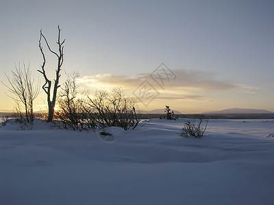 冬季风景场地太阳墙纸天气场景蓝色阴影森林木头美丽图片