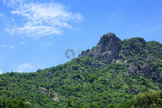 狮子摇滚山草地天空环境岩石远足地标绿色植物森林爬坡图片