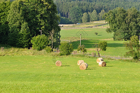 夏季风景草地蓝色阳光植物土地叶子晴天爬坡草原农村图片