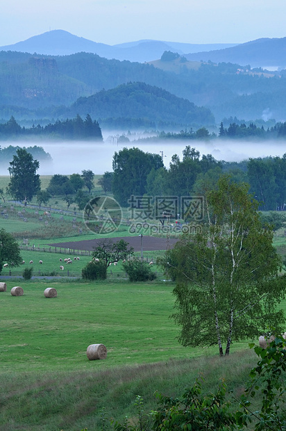 雾中的夜色风景森林薄雾场景天空全景草地阳光蓝色旅行生态图片