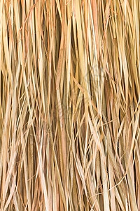 稻草的纹质陈词滥调外貌小麦干草叶子发芽墙纸枝条饲料收成图片