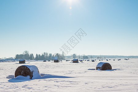 在雪雪中铺下干草的巴勒斯稻草天空房子全景蓝色季节收成暴风雪小麦收割机图片