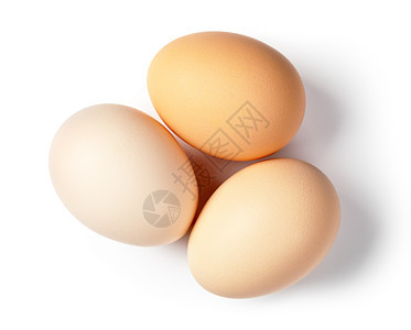 蛋动物黄色棕色食物农场美食母鸡早餐家禽营养图片