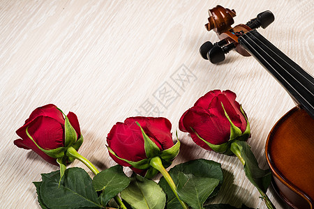 Violin 玫瑰和音乐书籍艺术性旋律小提琴手臂作品笔记花朵风格艺术周年图片