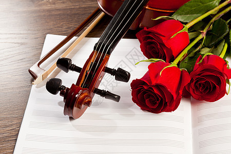 红玫瑰和小提琴中提琴艺术细绳古董花束作品音乐会乐器音乐浪漫图片