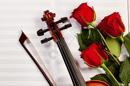 红玫瑰和小提琴浪漫乐队周年乐器文化床单细绳木头作品纪念日图片