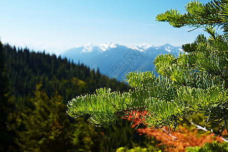 飓风脊远足海拔顶峰风景高地绿色蓝色公园山脉山峰图片