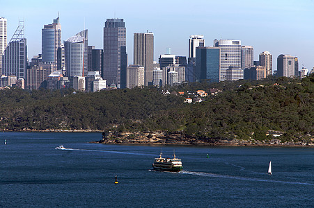 悉尼 城市和渡轮图片