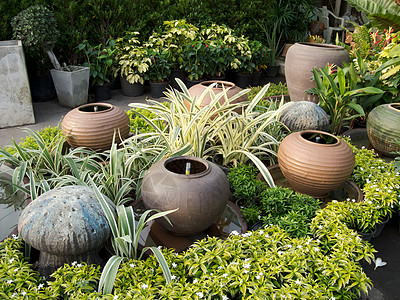花园中的水罐城市岩石公园飞溅植物群古董园艺陶器石头植物图片