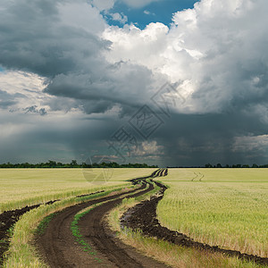雨云在田地上随路而来图片