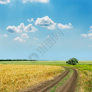 通往地平线和蓝云天空的肮脏道路图片
