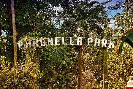 昆士兰州帕罗内拉公园 冬季海域的植被和颜色植物城堡小路棕榈绿色历史性目的地建筑公园雨林图片