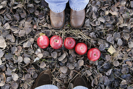 5个红苹果躺在落叶和脚下水果叶子牛仔裤红色背景图片