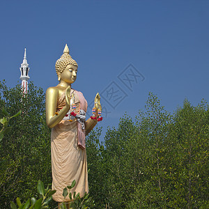 buddha 雕像第55/3号图片