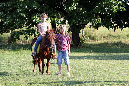 快乐的小女孩和男孩 小马在田野上图片