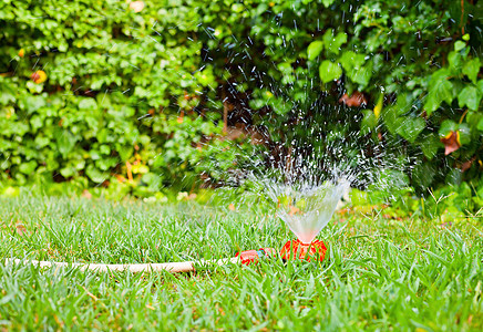 草坪供水生长花园洒水器植物草地工具园艺水滴水分淋浴图片