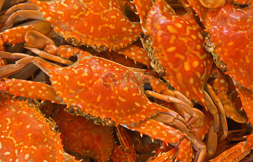 蓝螃蟹煮熟红色食物海鲜美食餐厅烹饪橙子图片