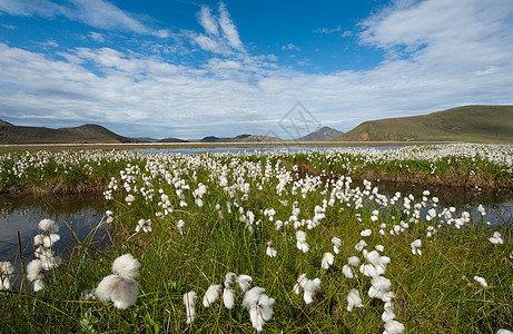 兰德曼纳卢格尔火山湿地植物群远足草地冰川天空爬坡风景棉布图片