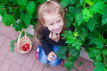花园里有一篮子浆果的 肖像可爱的小姑娘图片