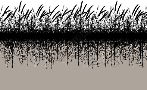 草根土壤场地插图黑色植被杂草植物基层图片