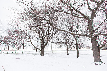 圣诞节雪雪建筑旅行公园假期季节树木市中心支撑城市景观图片