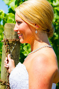 新娘结婚之日的新娘葡萄园酒厂头发金发女孩婚礼婚姻裙子婚纱女性图片