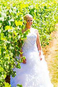 新娘结婚之日的新娘女士女性婚礼婚姻裙子葡萄园白色酒厂金发女孩图片