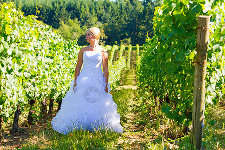 新娘结婚之日的新娘女性裙子礼服女孩誓言女士酒厂幸福金发白色图片