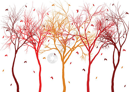 秋树 树叶落叶 矢量图片