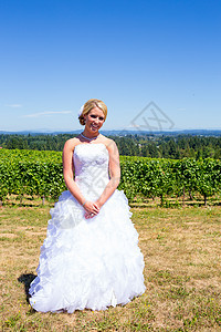 新娘结婚之日的新娘白色女孩酒厂裙子葡萄园女士誓言女性婚礼幸福图片