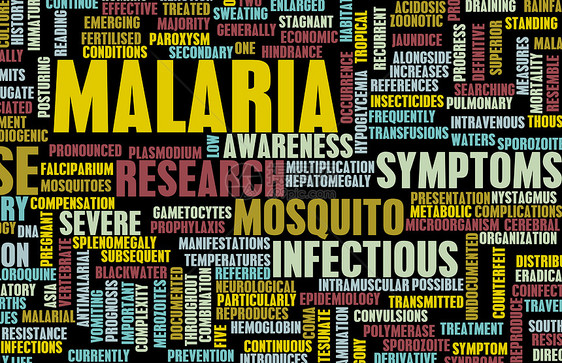 疟疾寄生状况害虫活动治疗小册子热带载体伊蚊药品图片