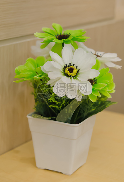 塑料花叶子花瓣绿色白色花束花瓶树叶图片