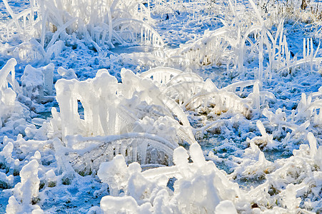 冰冻的青草水晶太阳蓝色雪花天空温度场景植物天气冻结图片