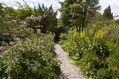 Glastonbury的花园建筑学地标英语国家全景血泉观光植物群精神景点图片