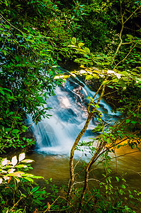南卡罗莱纳州北部美丽的瓦特瀑布激流森林山脉图片