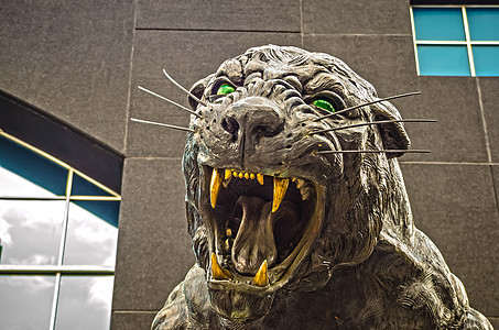 黑豹雕像团队猎人野生动物眼睛牙齿侵略体育场力量银行冠军图片