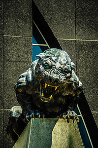 黑豹雕像眼睛冠军侵略游戏团队通信银行猎人野生动物球员图片
