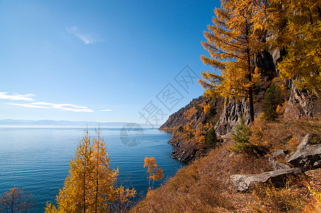 贝加尔湖的秋天世界上最古老 最深 水量最大的淡水湖地平线孤独旅行国家叶子场景荒野地标爬坡海岸线图片