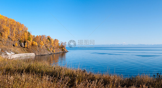 贝加尔湖的秋天世界上最古老 最深 水量最大的淡水湖土地地平线地标假期海岸荒野叶子海岸线旅行场景图片