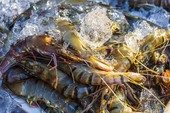 泰国市场上的虾虾和其他海产食品市场贝类旅行农民食物动物摊位灰色尾巴杂货店甲壳图片